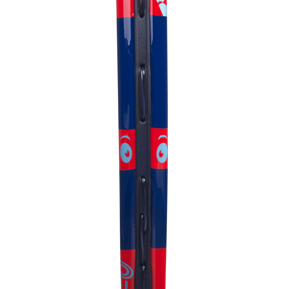 Babolat Ballfighter 19 - Strung