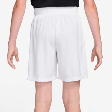 Nike Multi Big Kids' (Boys') Dri-FIT Training Shorts