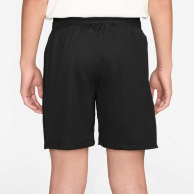 Nike Multi Big Kids' (Boys') Dri-FIT Training Shorts